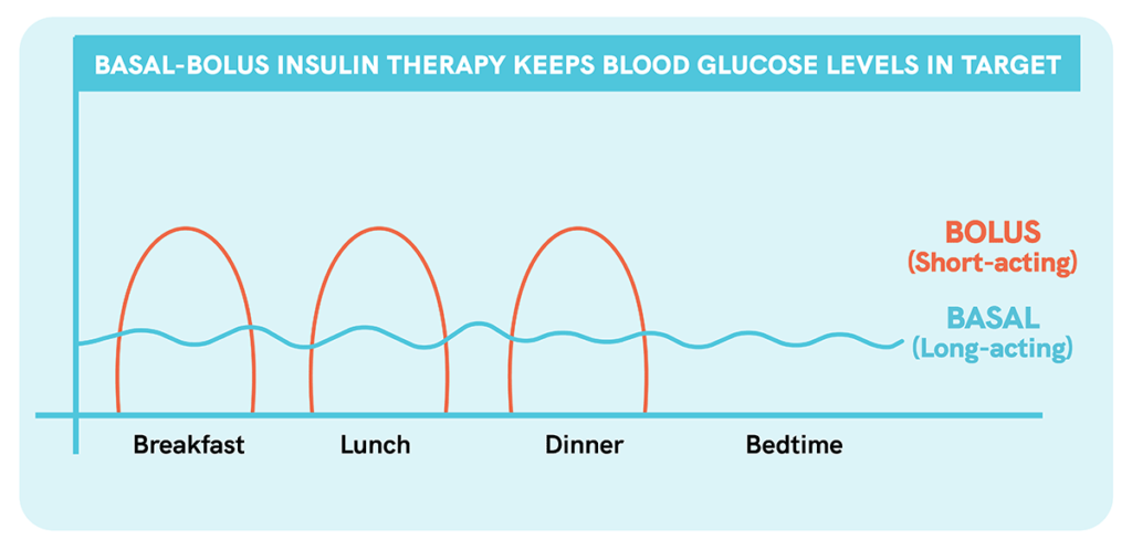 What is basal-bolus insulin therapy? – GluCare