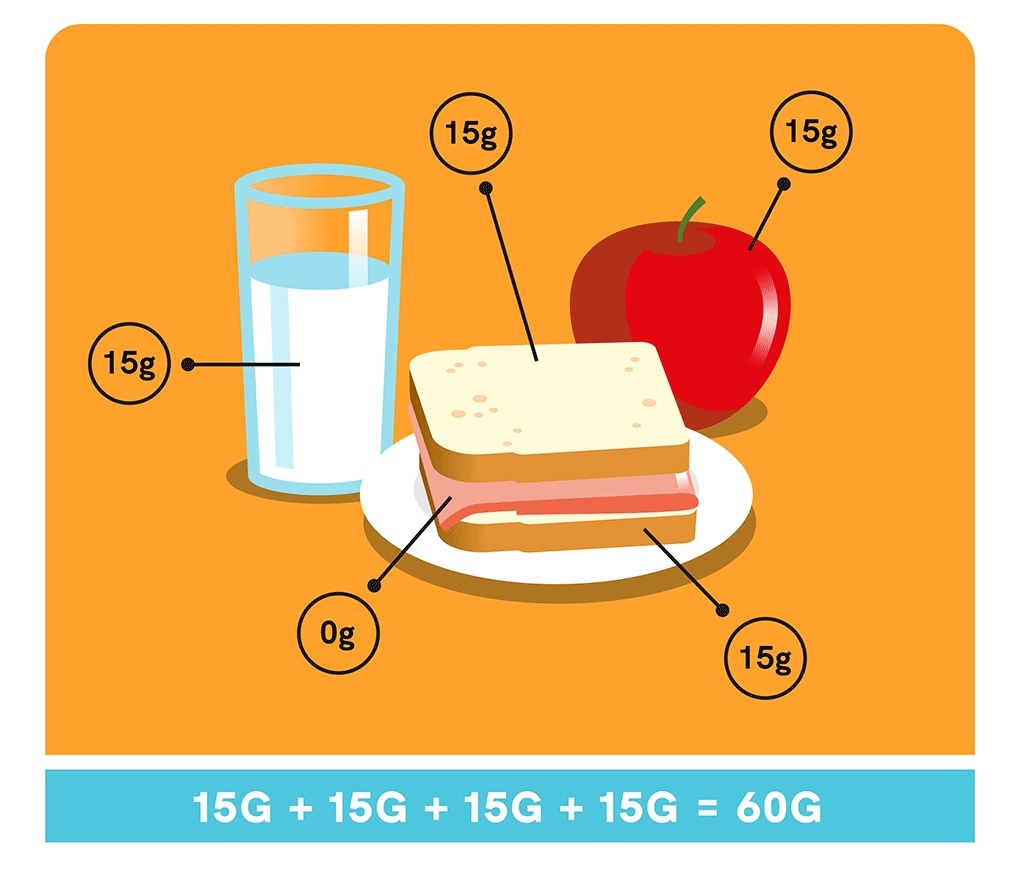 Carb Counting and Nutrition Fact Labels