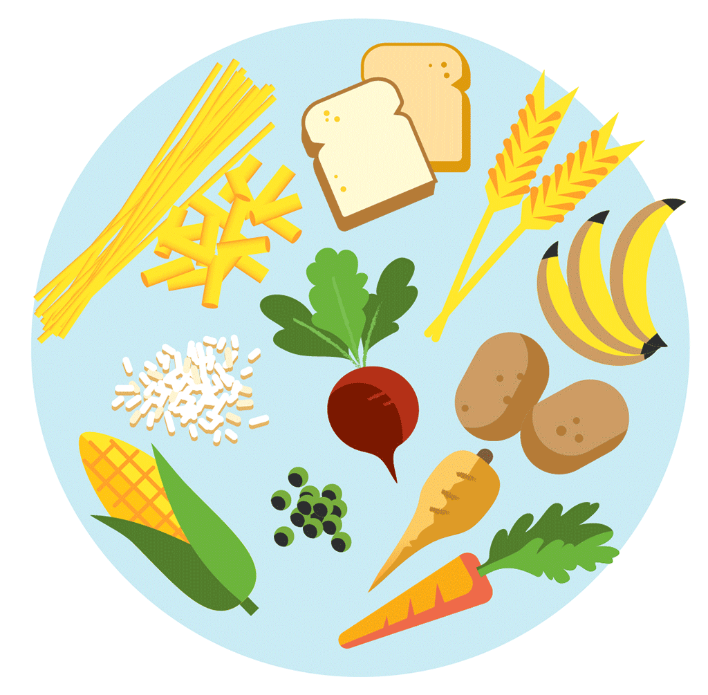 Grains, Starchy Vegetables, and Your Health