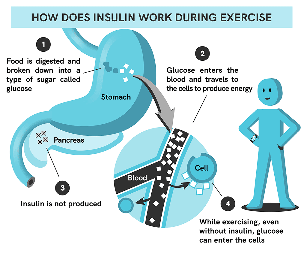 Role of exercise in maintaining blood sugar levels