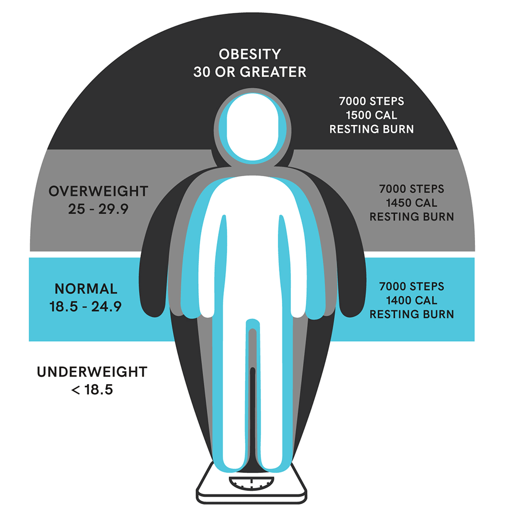 Why Does Weight Loss Stall